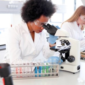 Glycyl-Glutamine Standard