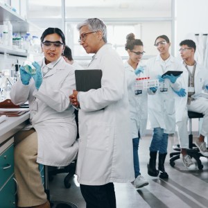 Hydroxylysine Standard for Hydrolyzed Collagen Analysis (run in duplicate)