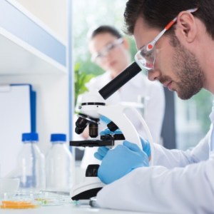 L-Citrulline Analysis
